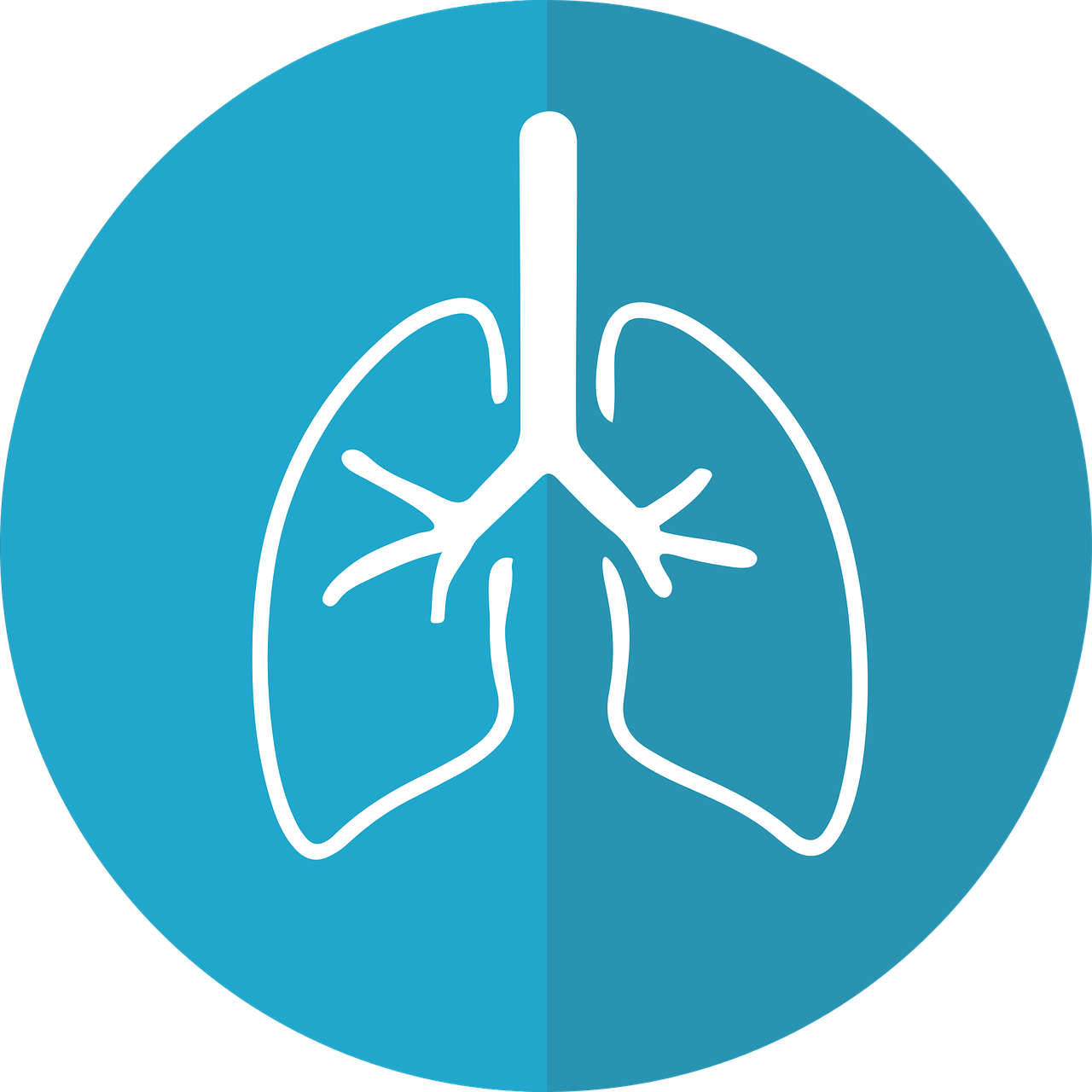 Czym leczy się schorzenia oddechowe?
