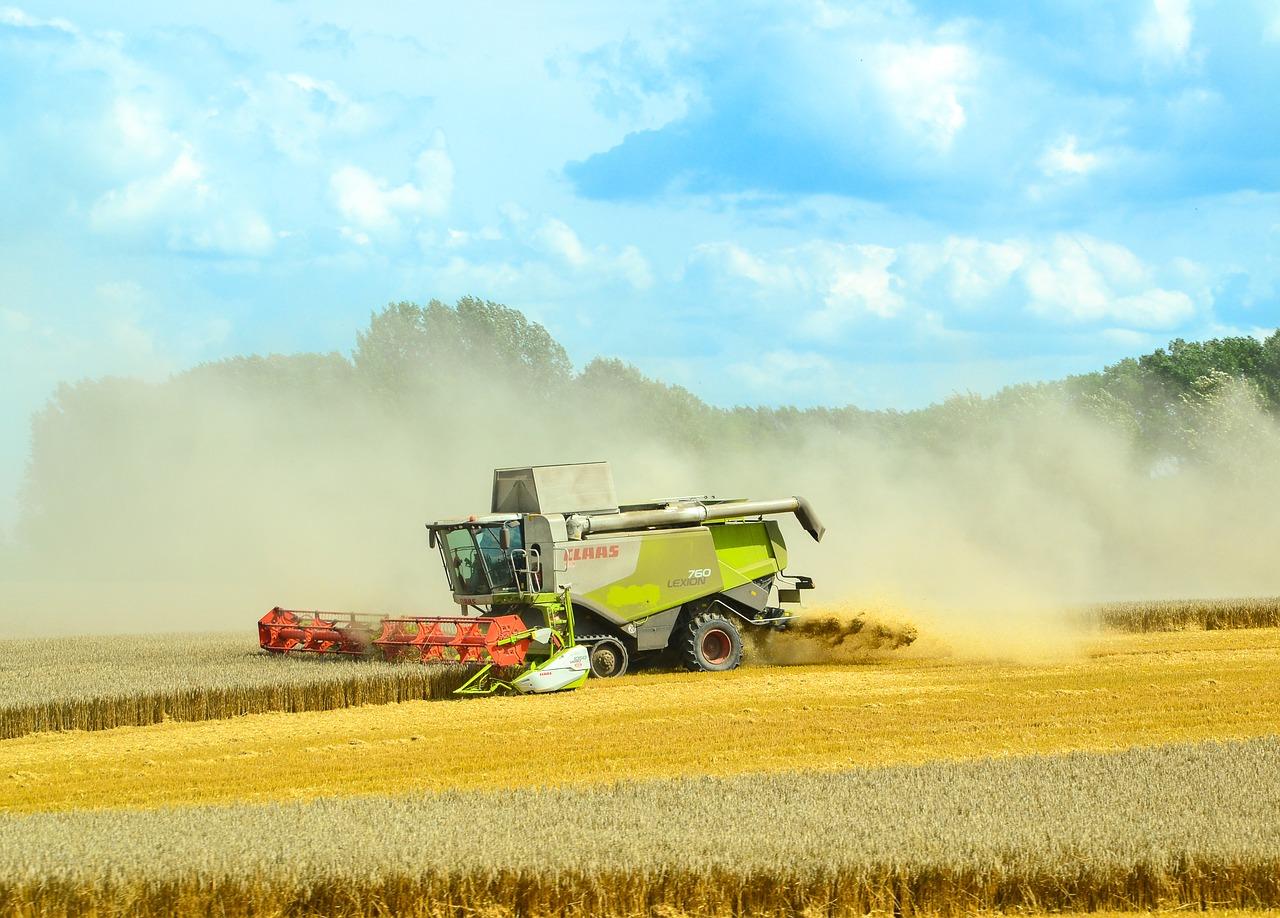 Rolnictwo – w jaki sposób należy dbać o swoje zebrane plony?